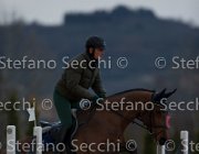 Cantlena FZ Tosc Tour2013- S5 1808 : Arezzo, Cantlena FZ, Cavalli d'Italia, Toscana Tour 2013, foto di Stefano Secchi ©